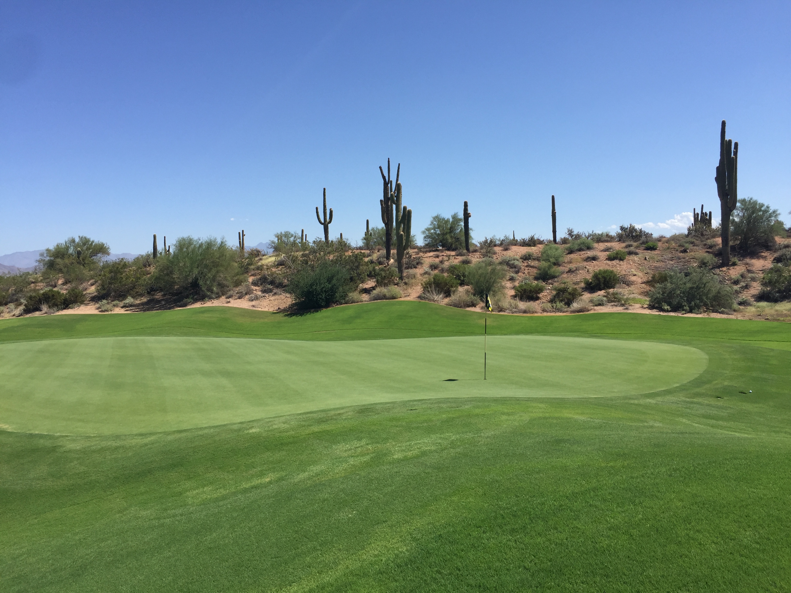 Lots of cacti - do you see any Mexicans?